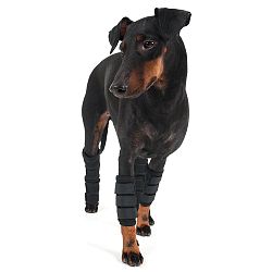 3101-DogLegWrap-WEB03-1000x-1600280760.jpg