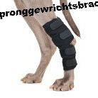 6781465067889f77840d1a5d714ba6ccfbb0f146f6dc6.jpg