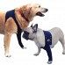 protective-pet-sleeve-1552586697.jpg