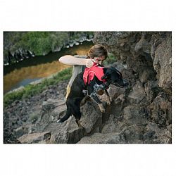 ruffwear-1663741676.jpg