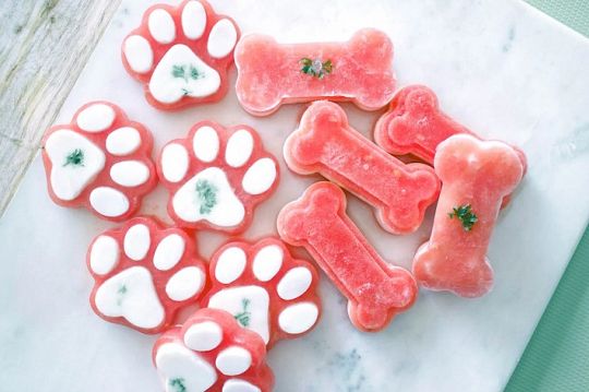 Summer-Dog-Treats-1624306052.jpg